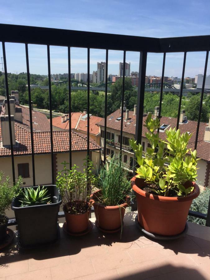 Merula Dream House كورسيكو المظهر الخارجي الصورة