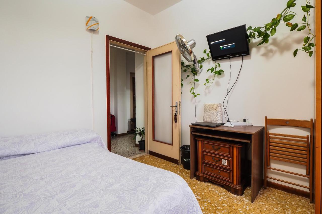 Merula Dream House كورسيكو المظهر الخارجي الصورة